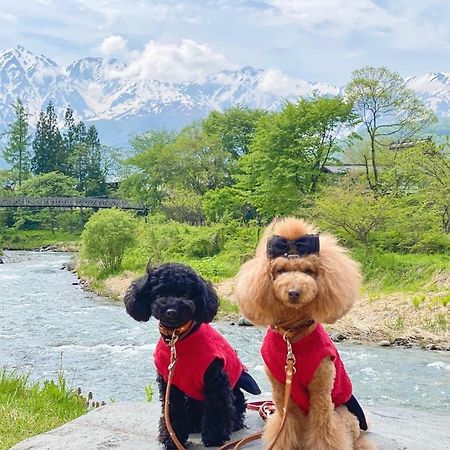 ホテル 白馬パウダーマウンテン 白馬村 エクステリア 写真