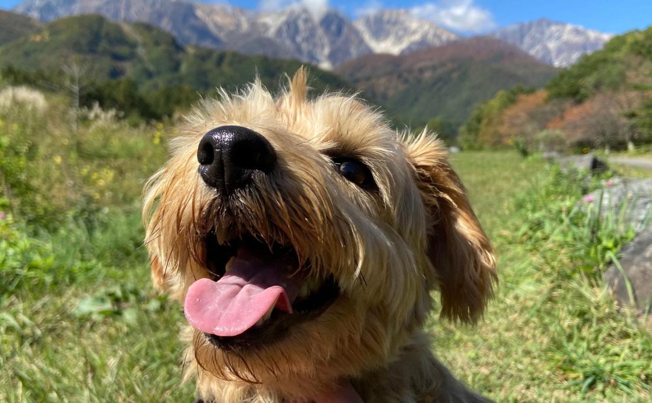 ホテル 白馬パウダーマウンテン 白馬村 エクステリア 写真