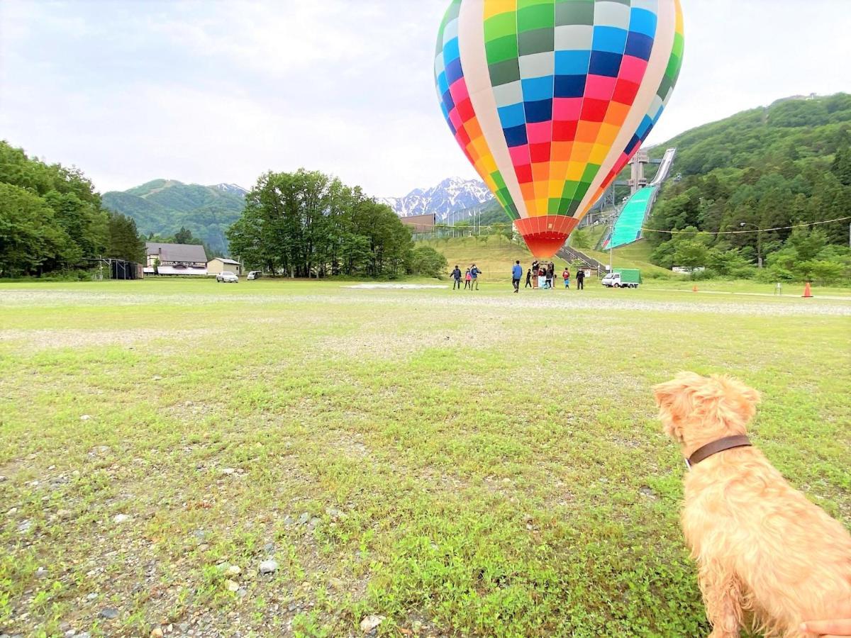 ホテル 白馬パウダーマウンテン 白馬村 エクステリア 写真