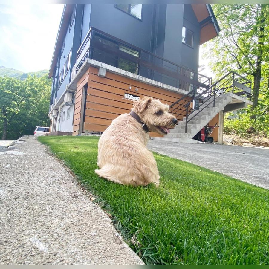 ホテル 白馬パウダーマウンテン 白馬村 エクステリア 写真