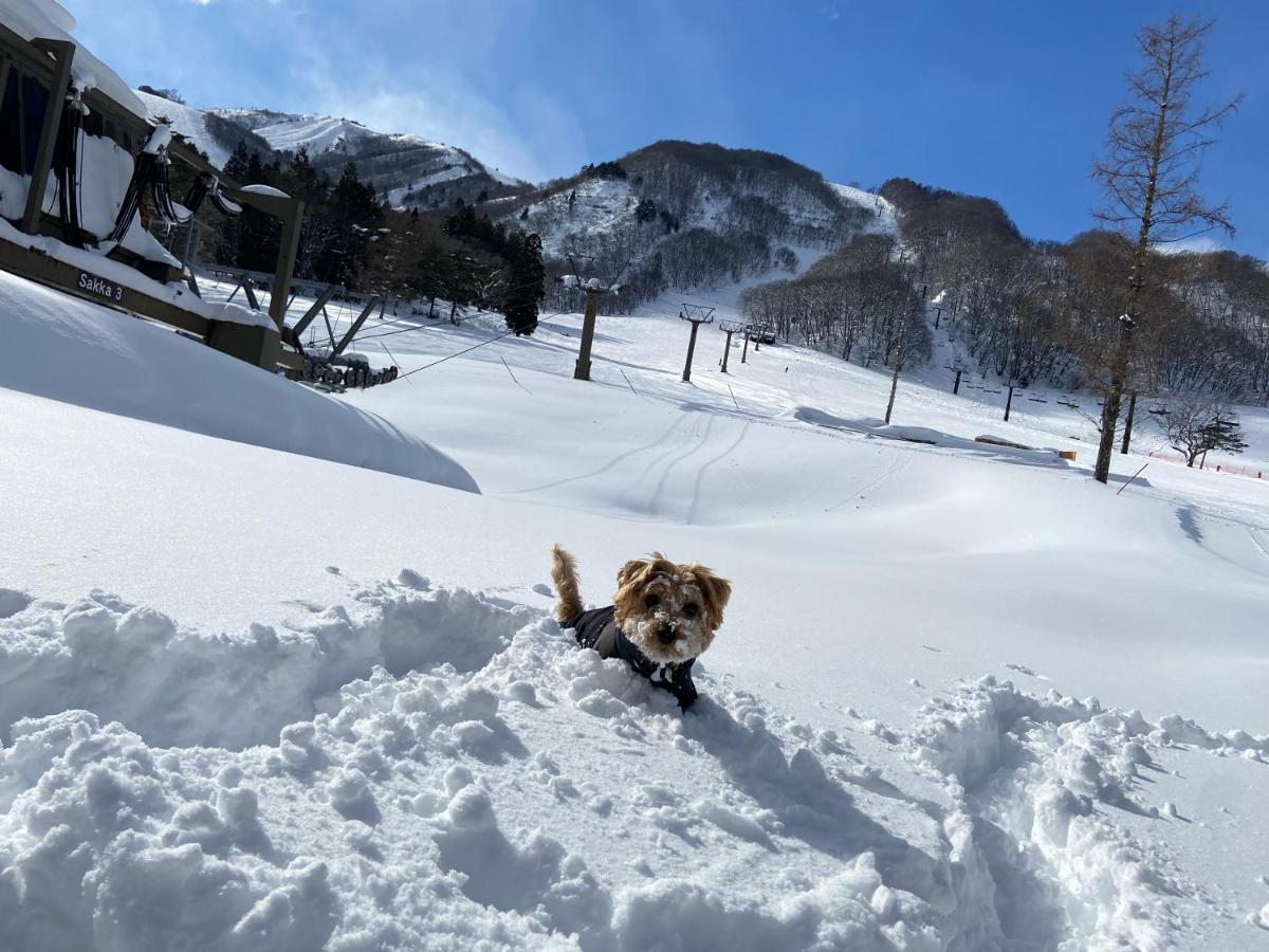 ホテル 白馬パウダーマウンテン 白馬村 エクステリア 写真