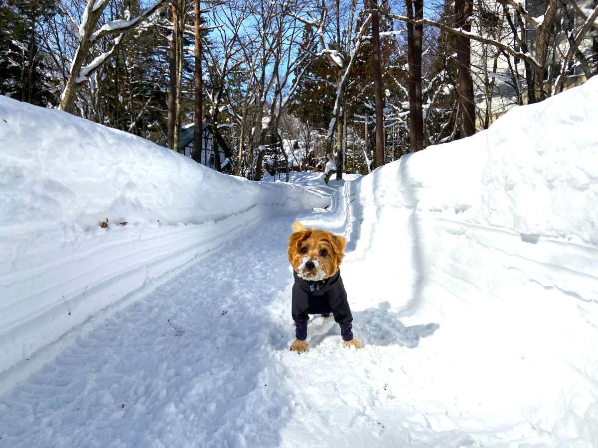 ホテル 白馬パウダーマウンテン 白馬村 エクステリア 写真